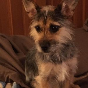 Meet your Posher, Ruth